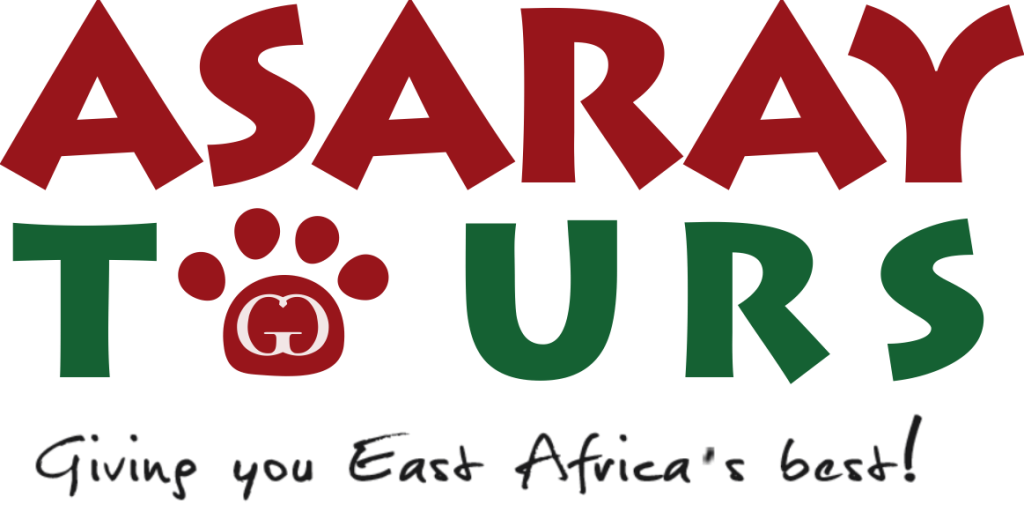 AsaRay Tours