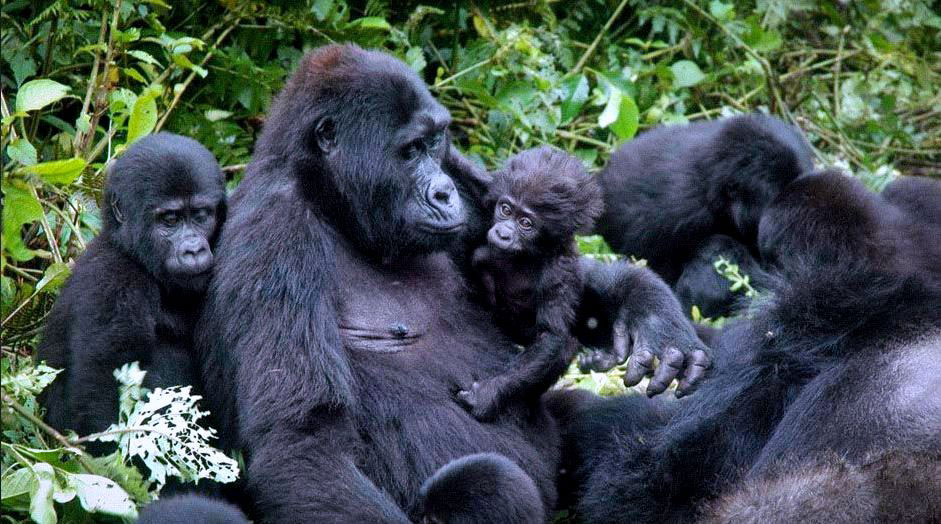 Rwanda