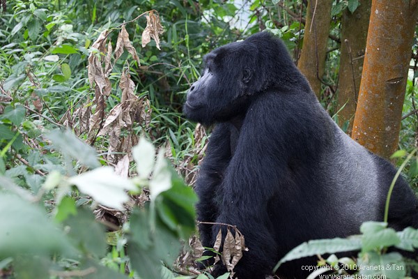 10 Days of Unique Experience Kenya & Uganda