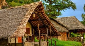 Lodges and Camps