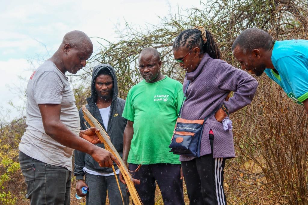 ECO LEARNING
