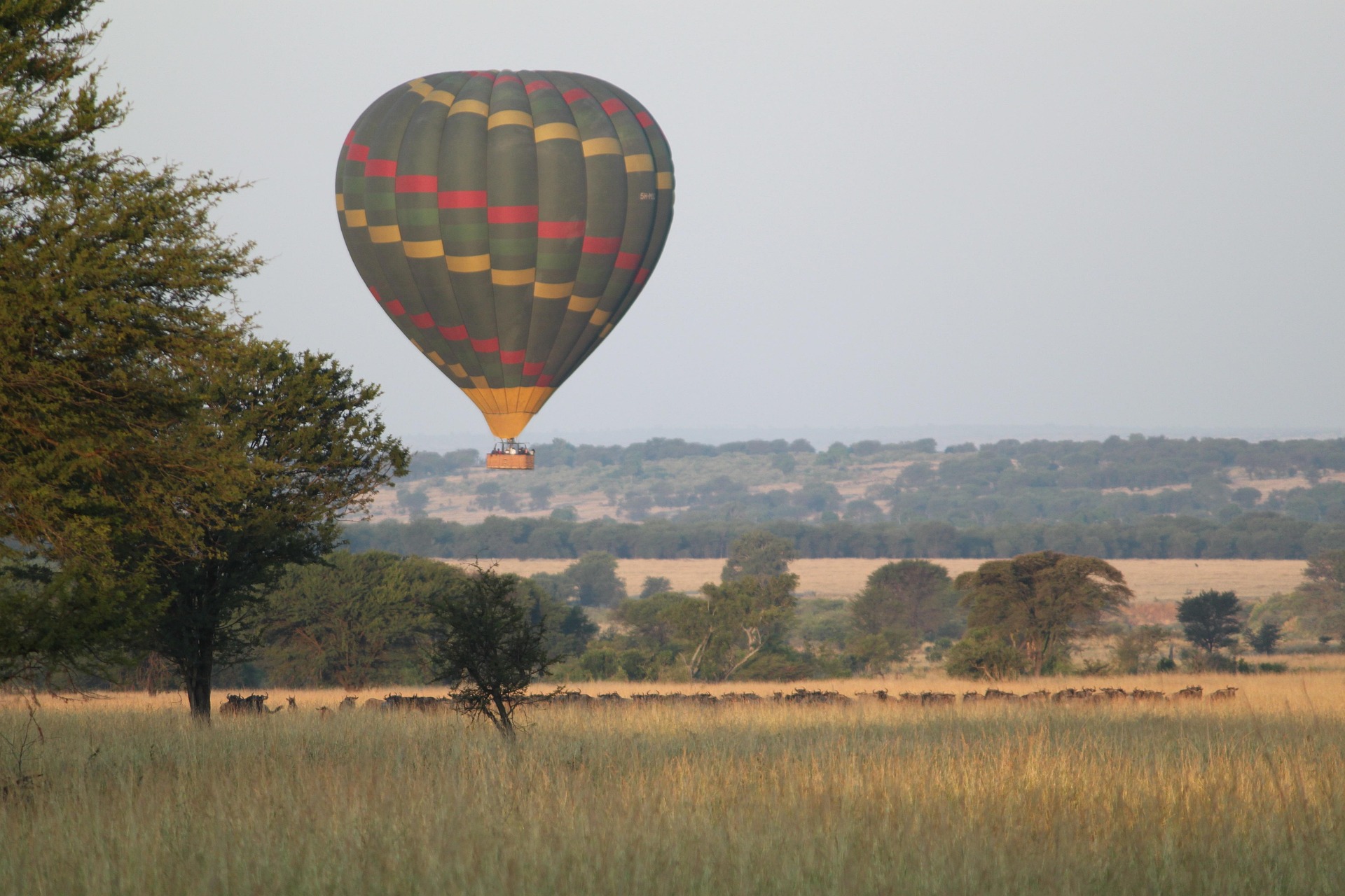 Our Safaris