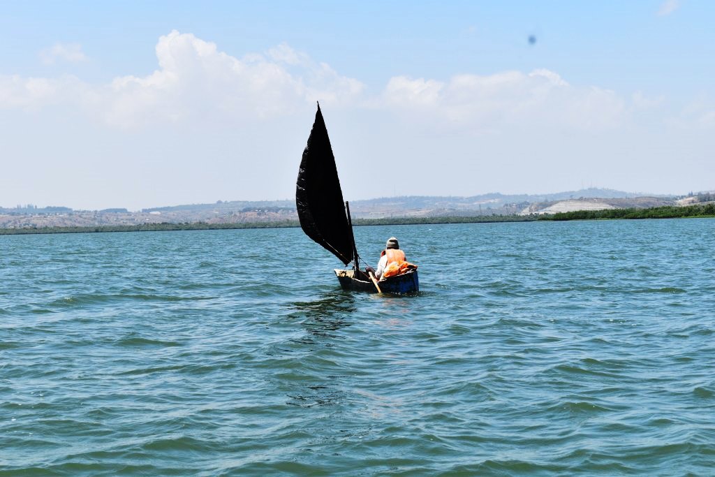 Dow Fishing and Sailing