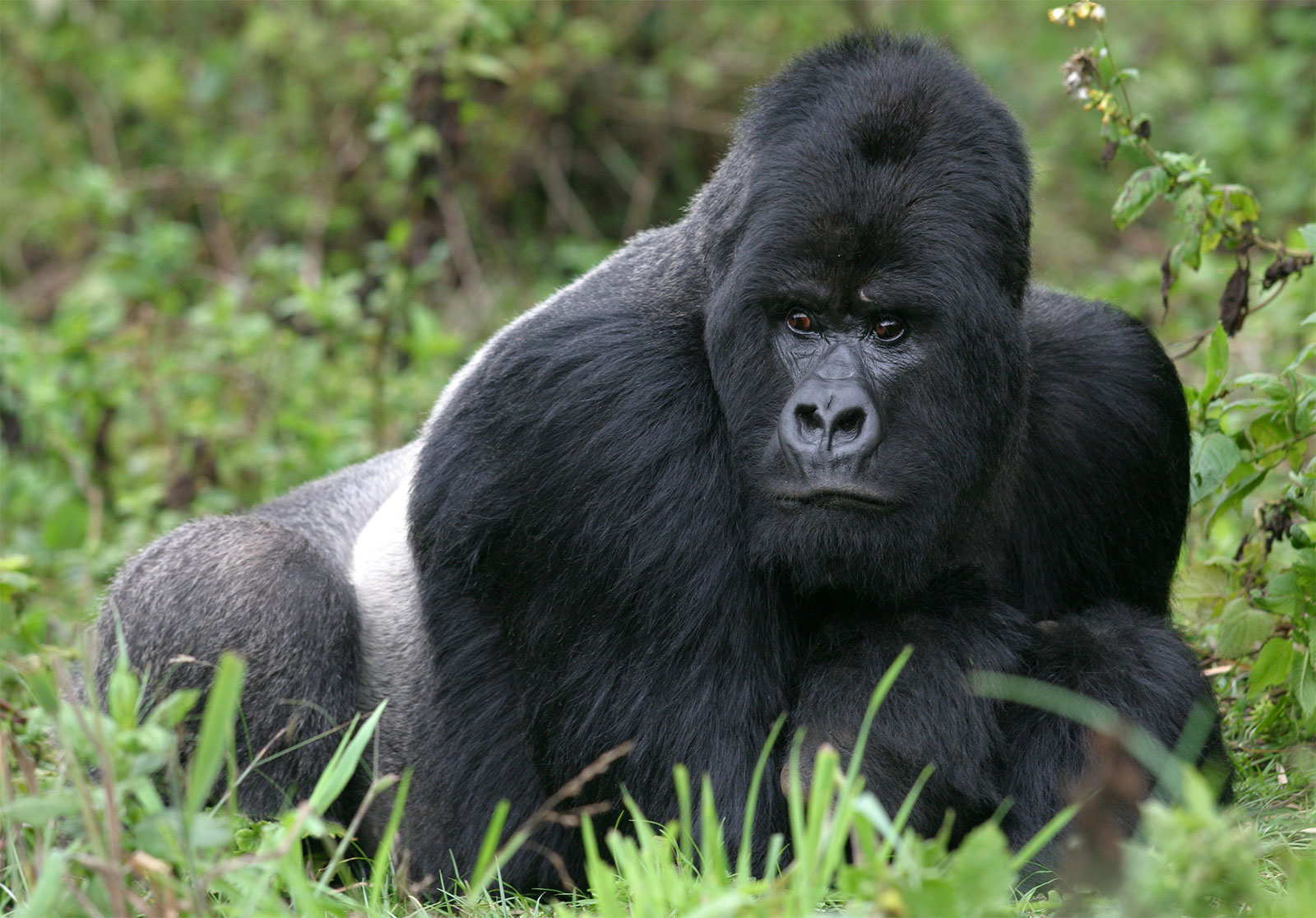 Kibale National Park (known for Chimpanzees)