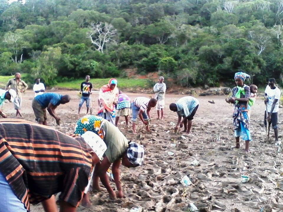 Mangrove Conservation