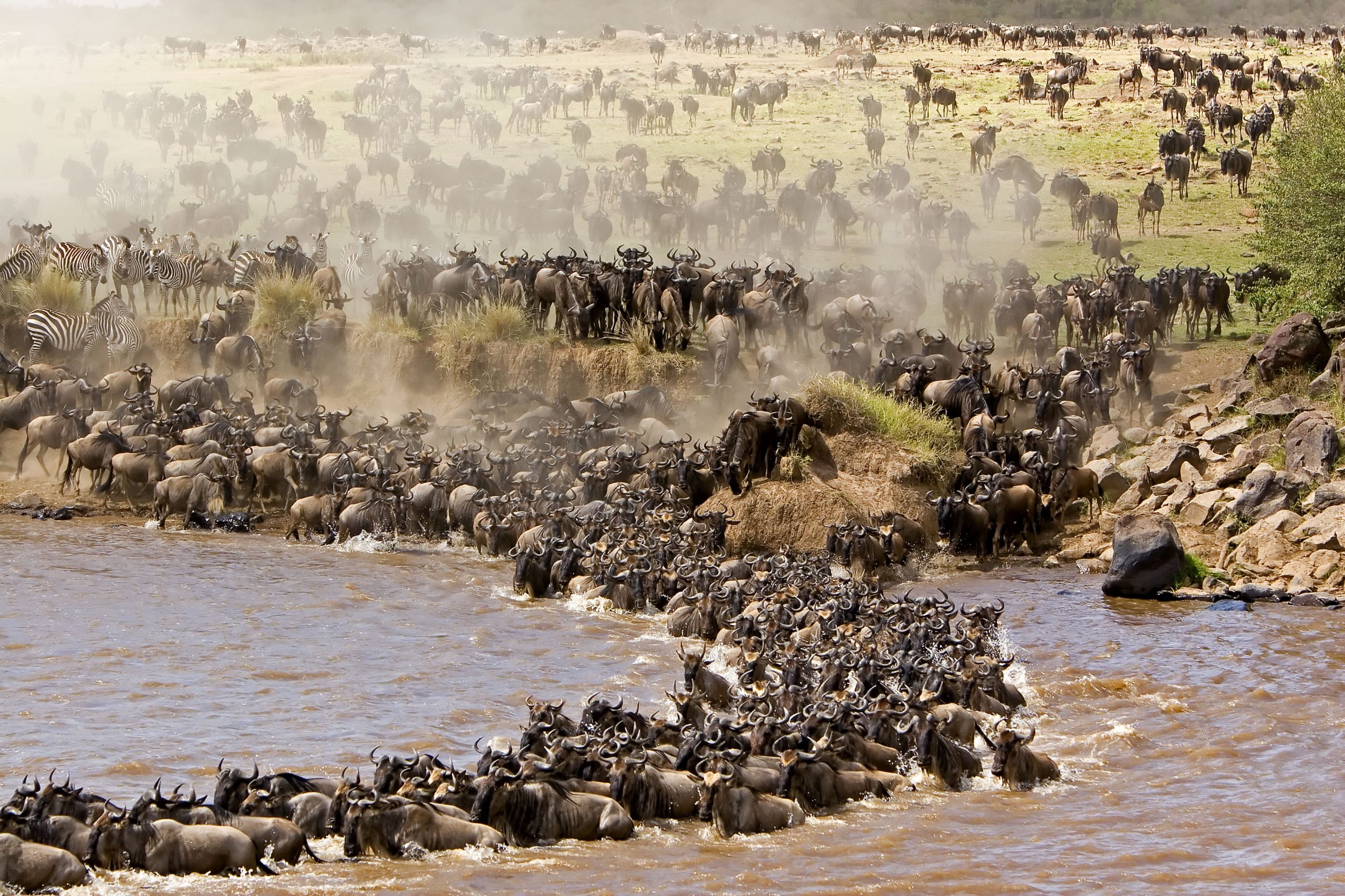 AsaRay Tours in Kenya