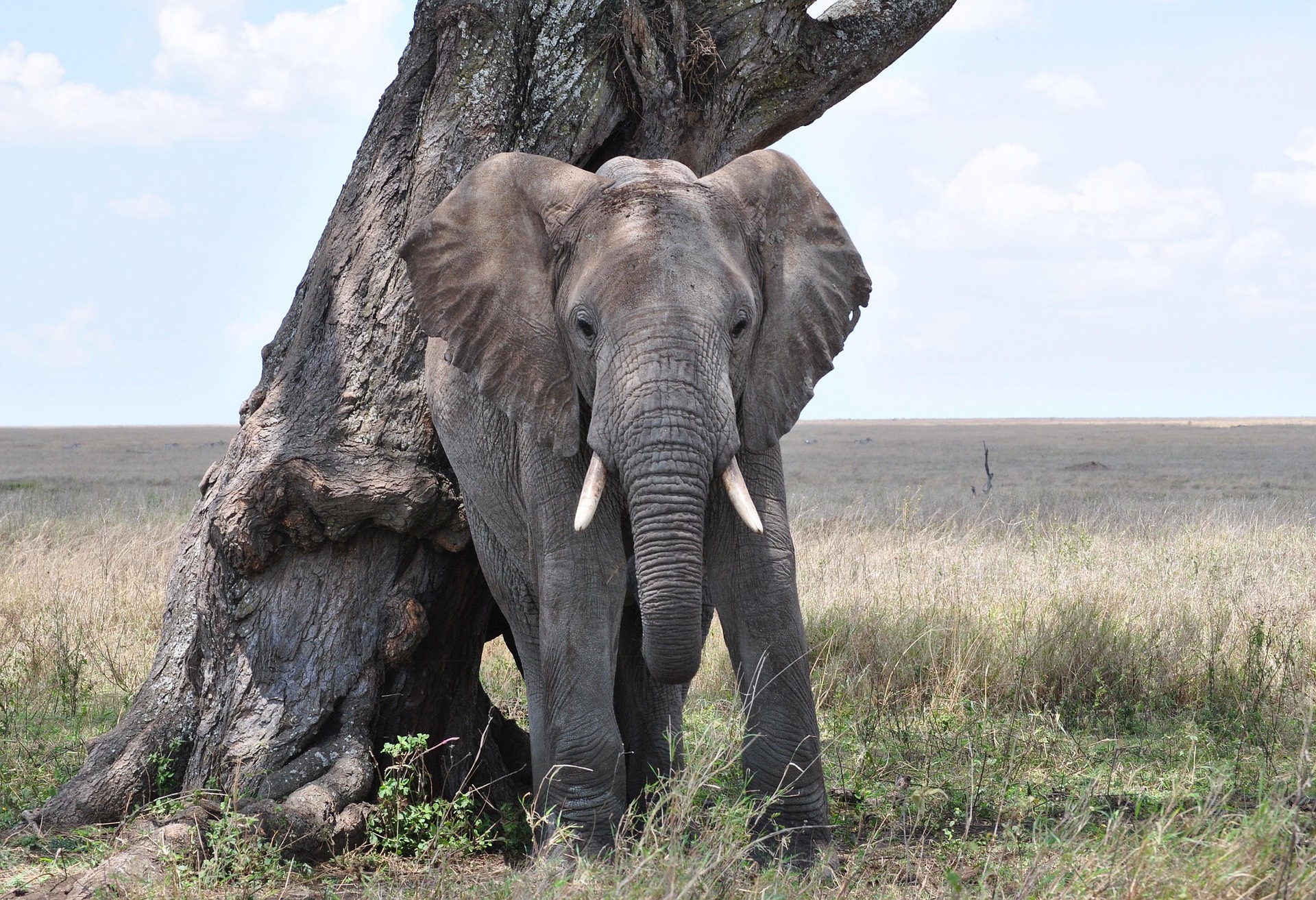 Serengeti National Park