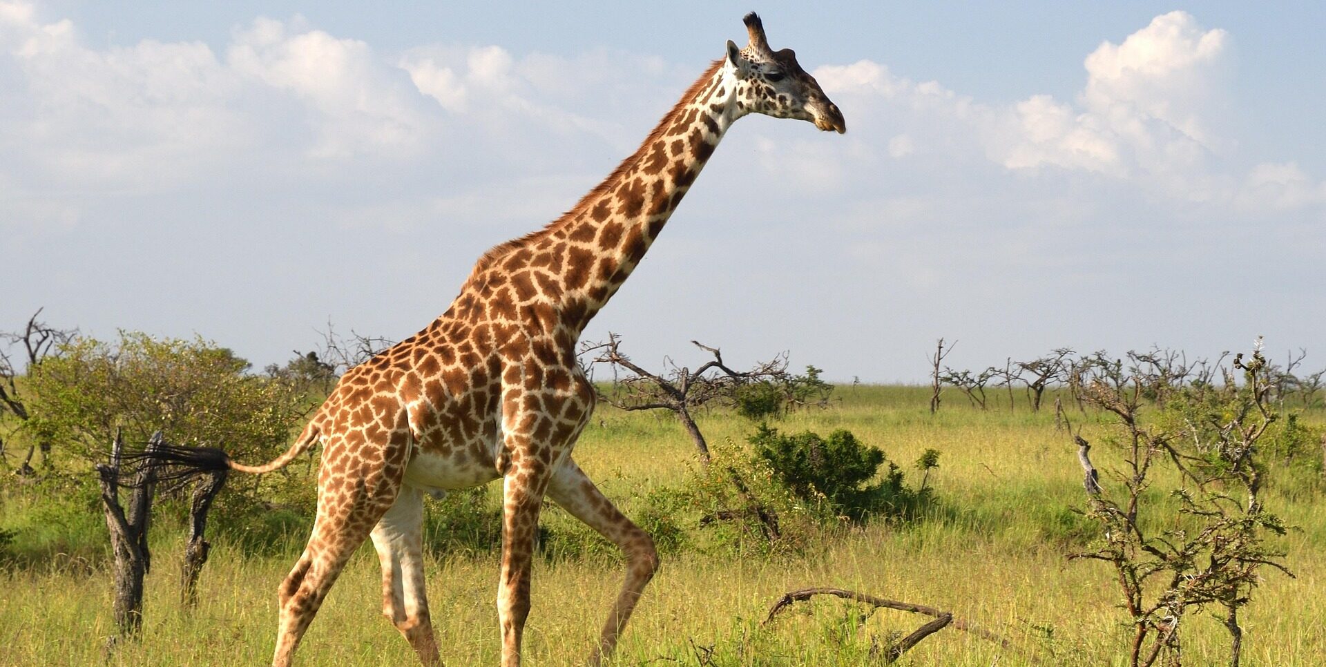 Lumo Community Wildlife Conservancy