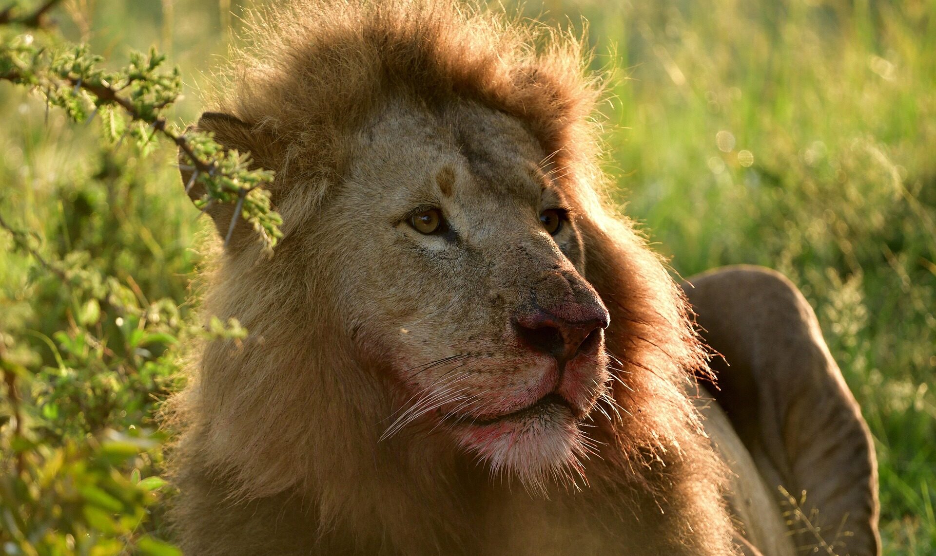 Serengeti National Park