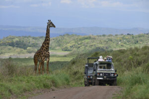 7 Days Adventure - Tanzania