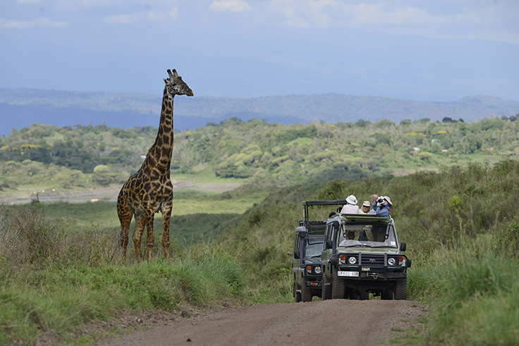 Lemosho Route