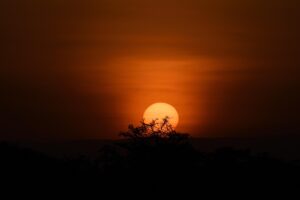 8 Days - Safari Experience - Eco Learning