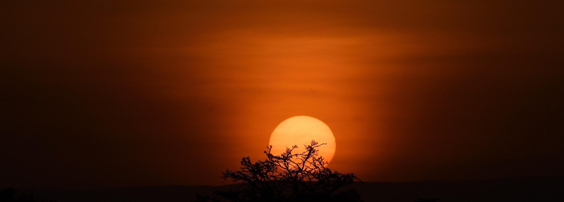 8 Days - Safari Experience - Eco Learning