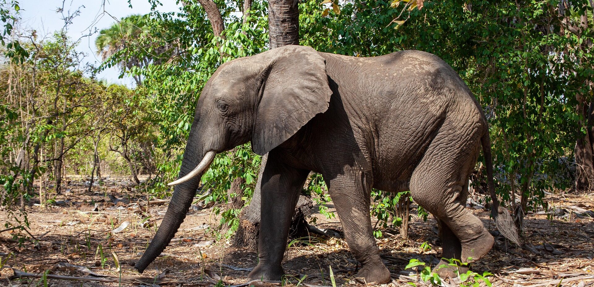 8 Days Safari Adventure - Samburu National Reserve