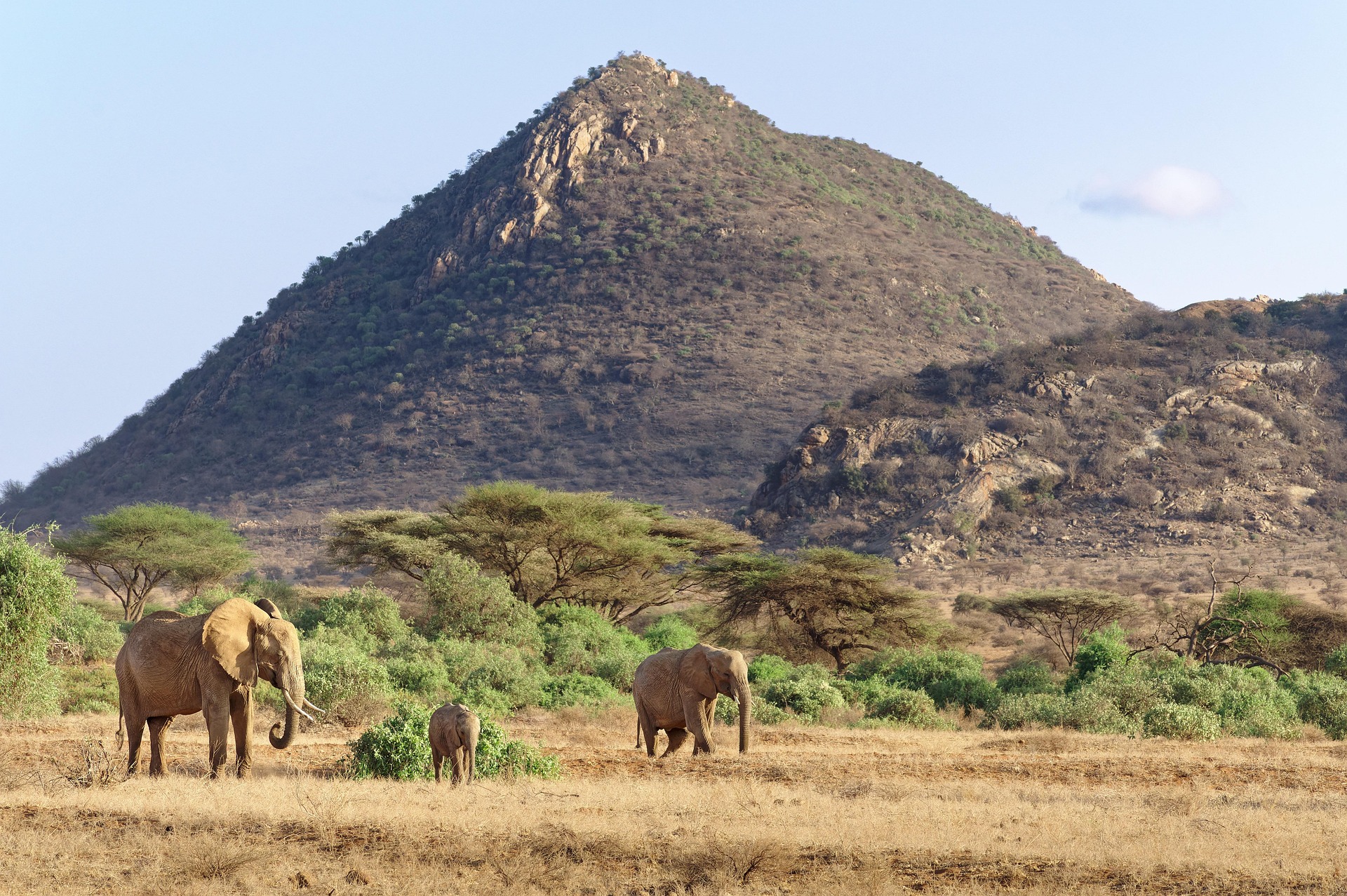 8 Days - Safari Experience - Eco Learning