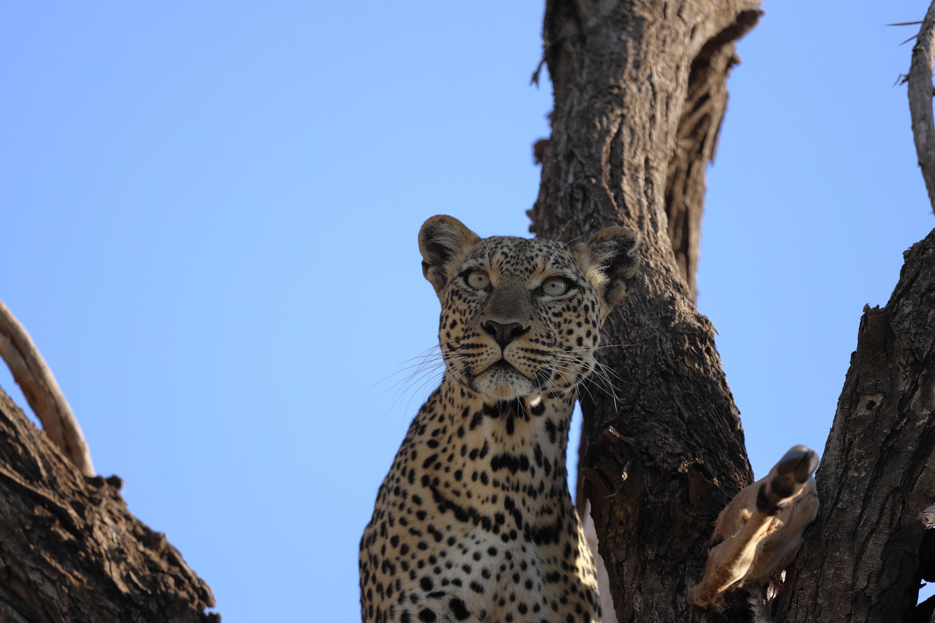 10 Days on a Mission – Kenya