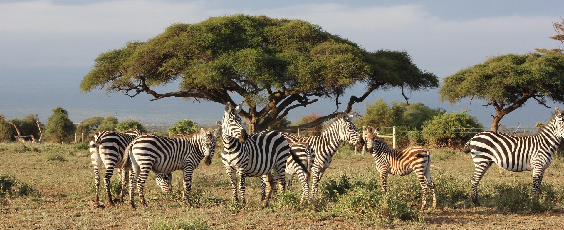 7 Days Of Unique & Exciting Safari Adventure
